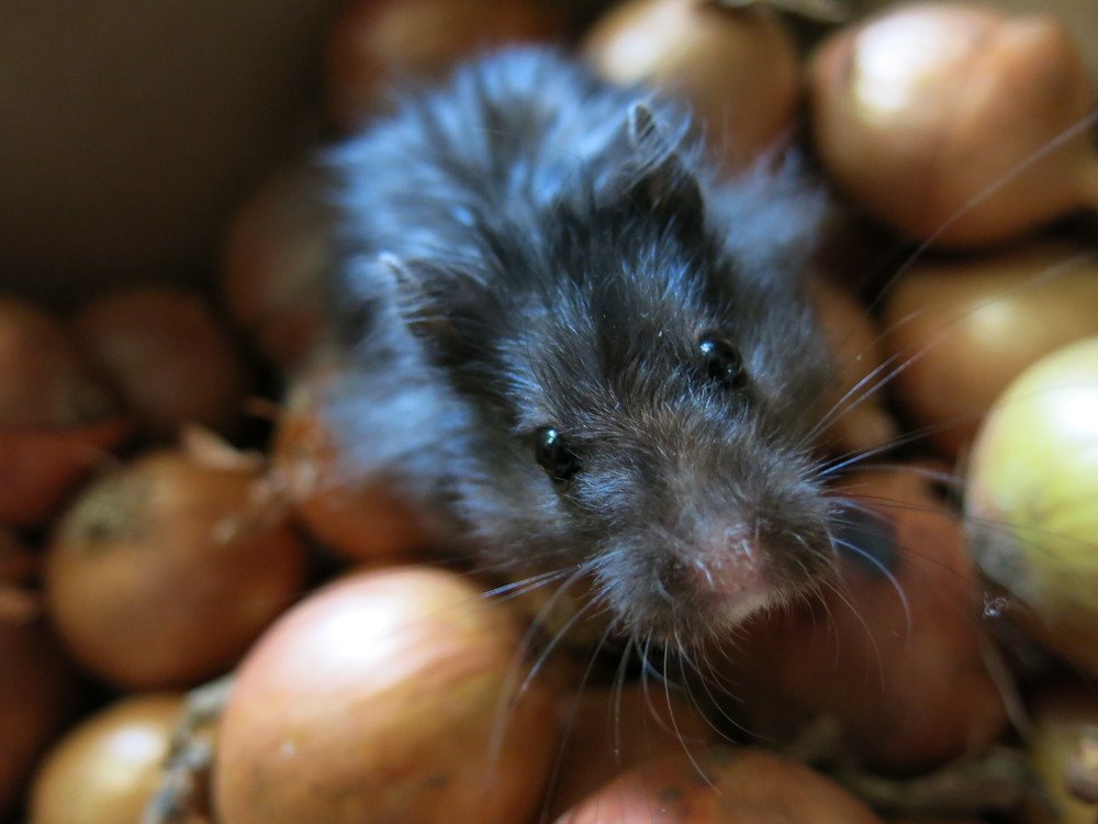 Photograph by ЭЛЬМИРА  ИСМАИЛОВА