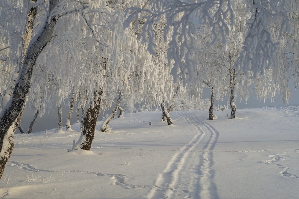 Photograph by Ольга Воронова