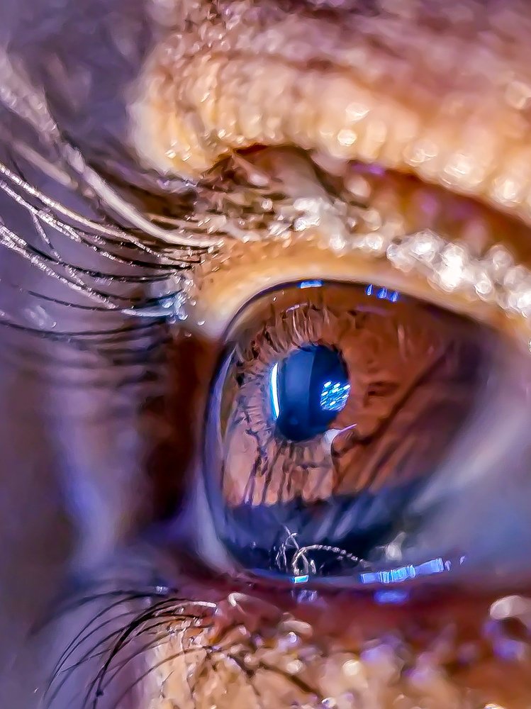 Photograph by Utkarsh Sinha