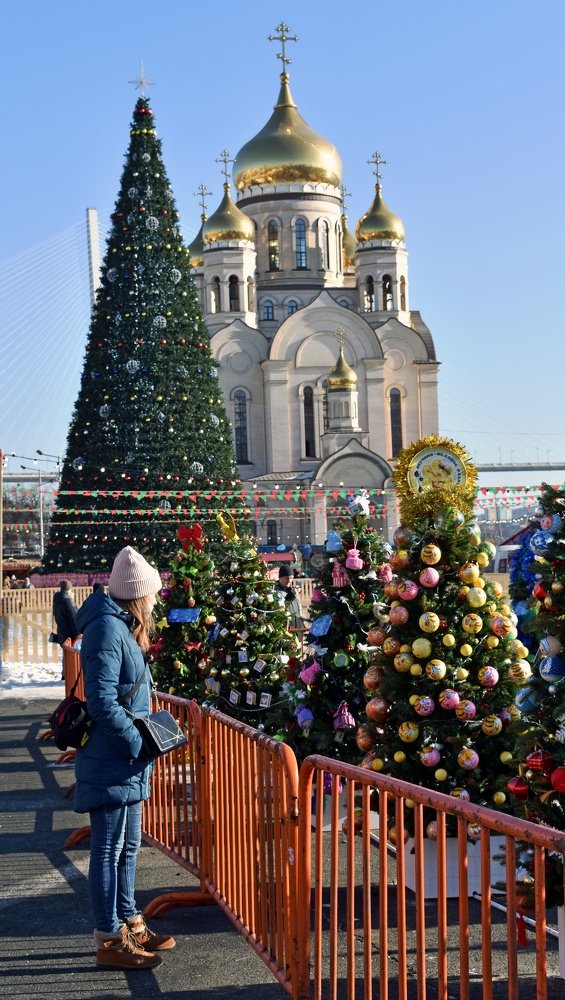 На встречу Новому году.
