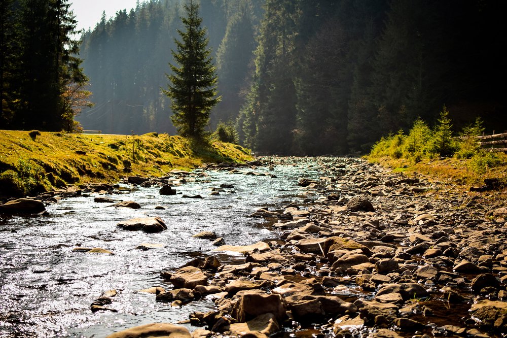 Photograph by Анастасия Донская