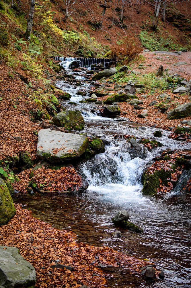 Photograph by Анастасия Донская