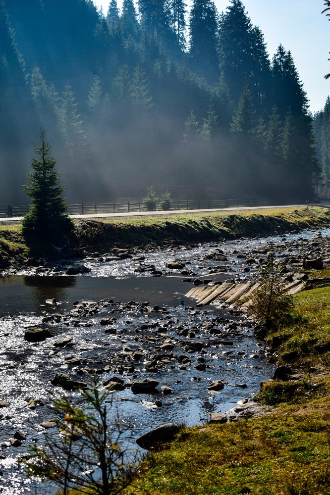 Photograph by Анастасия Донская