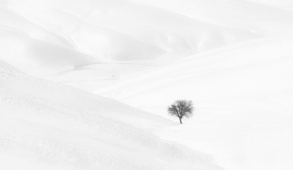 Photograph by Elahe Beigi