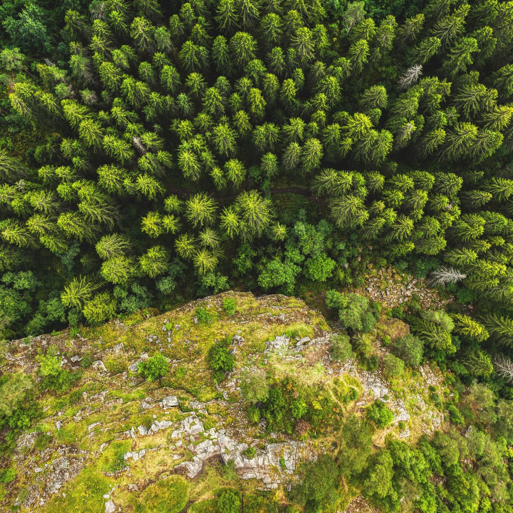 Photograph by Алексей Спиридонов