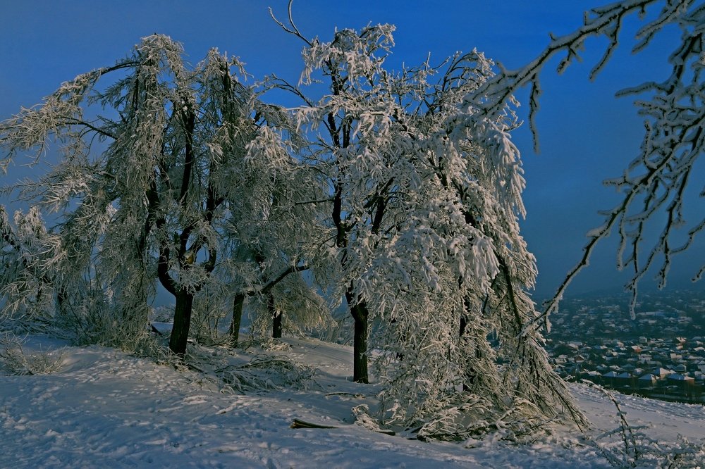 Photograph by Игорь Куленко