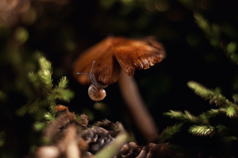 Photograph by Alena Sabro