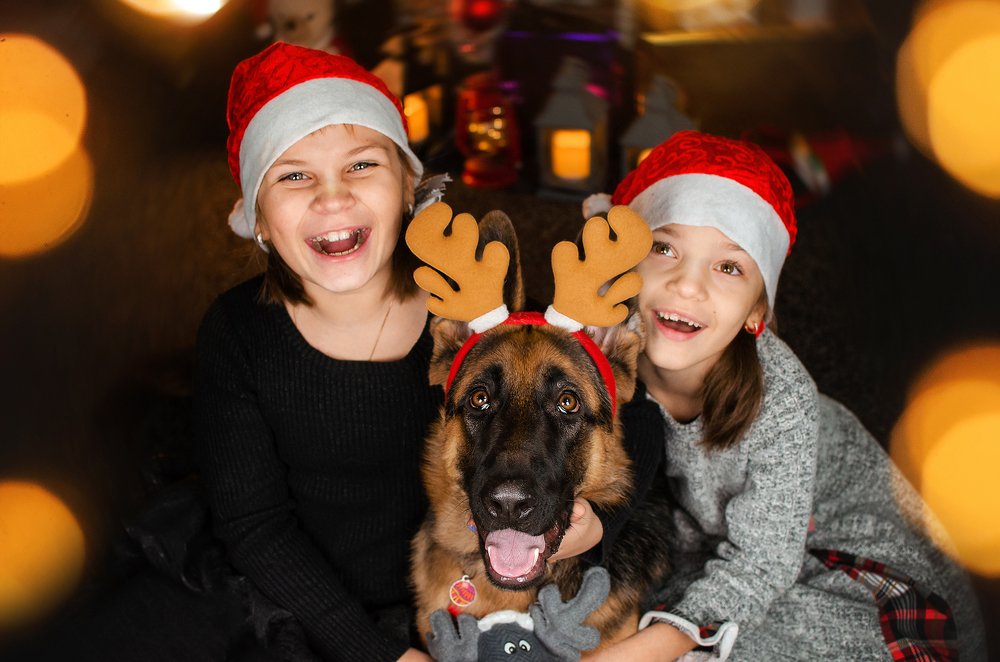 Photograph by Екатерина Кикоть