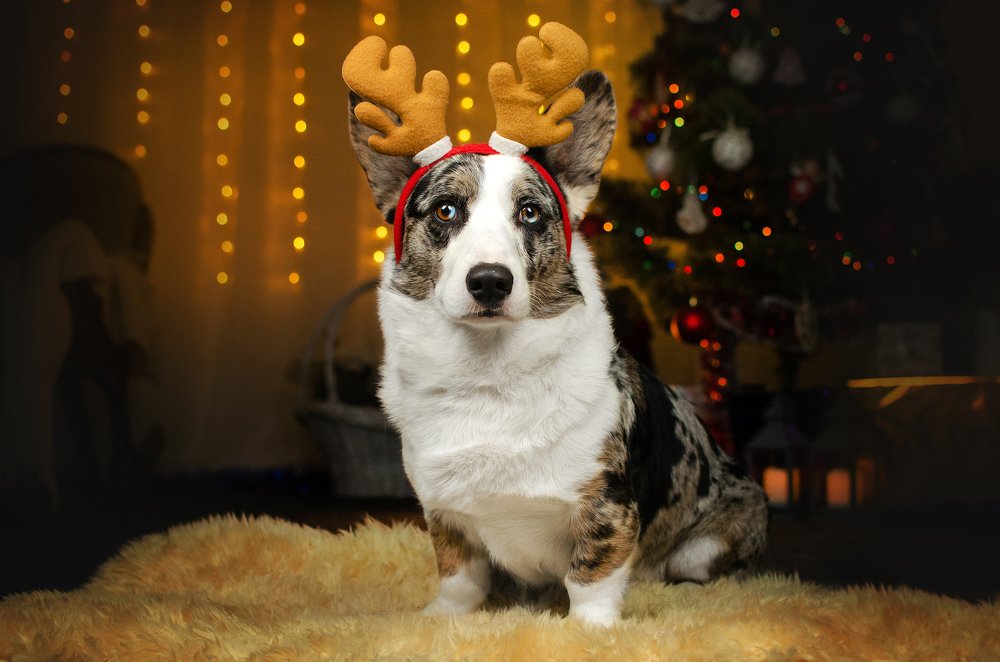 Photograph by Екатерина Кикоть