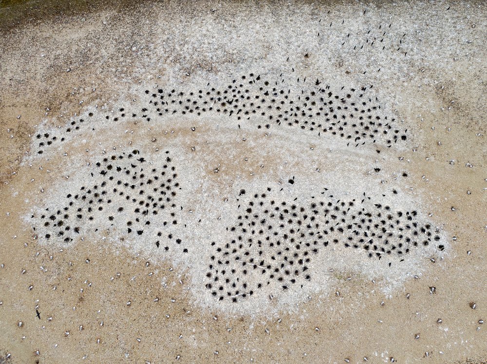 Photograph by Александр Абросимов