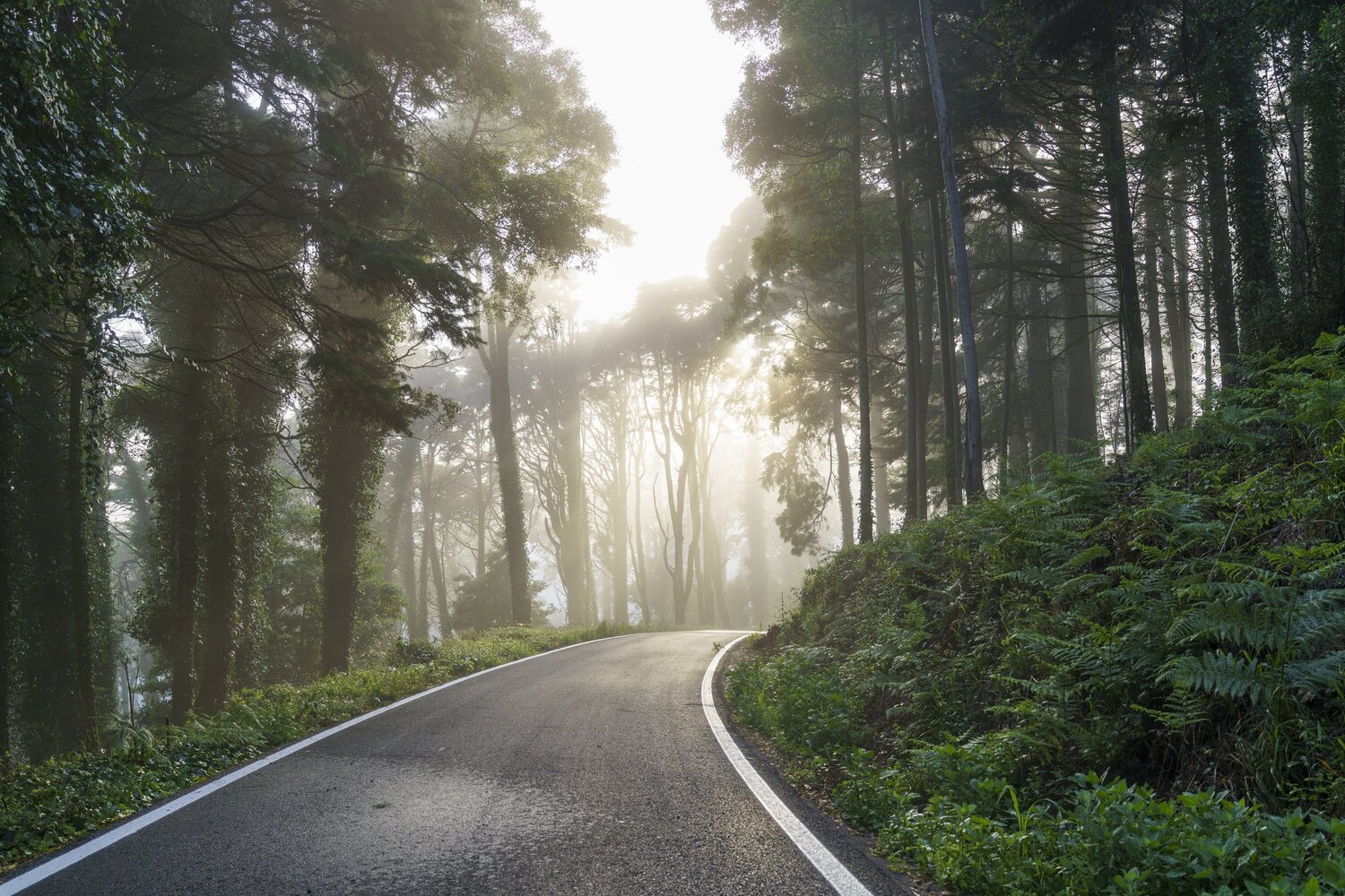 Magic Paths