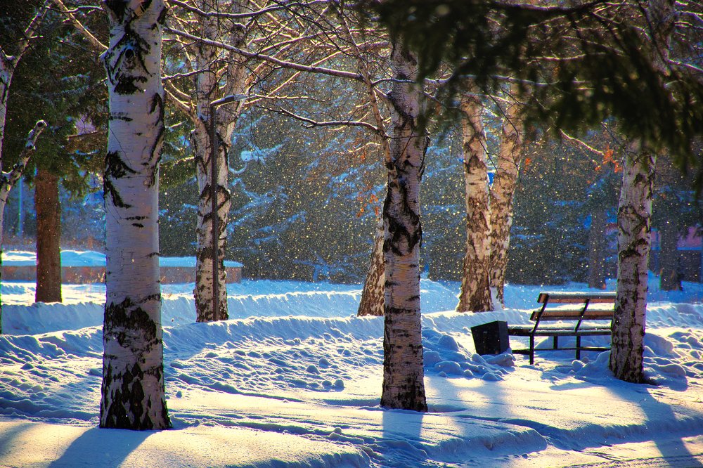 Photograph by Александр Староверов