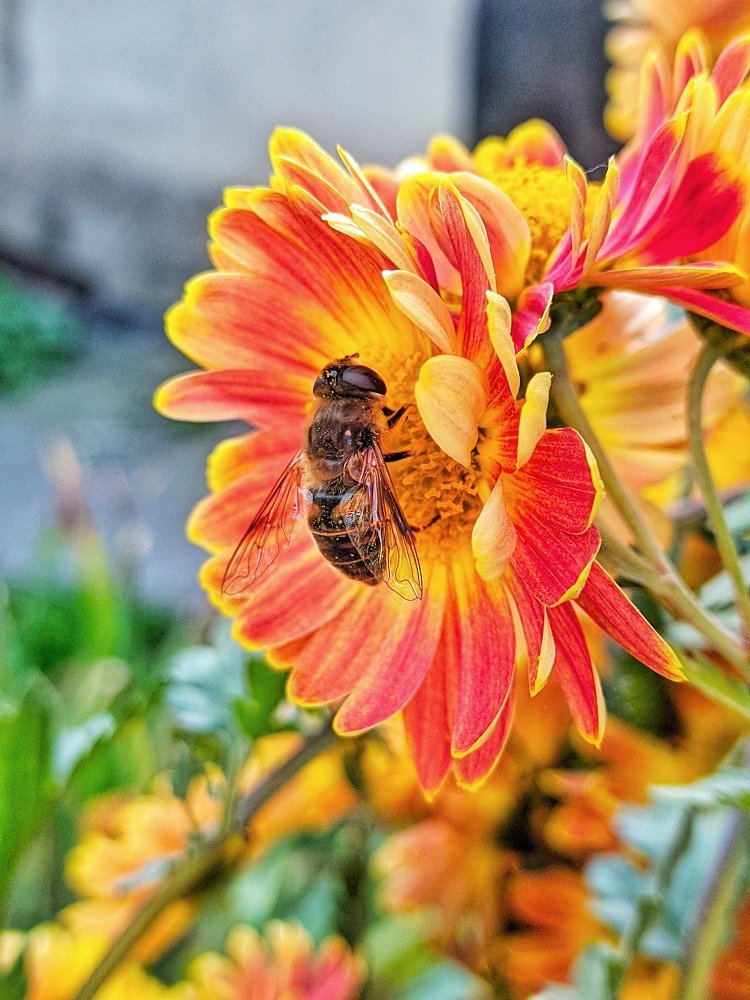 Фотография автора Наталья Синицына