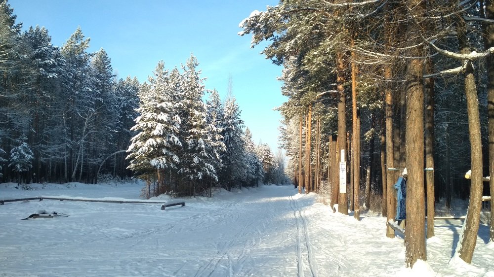 Photograph by Ольга Васильева