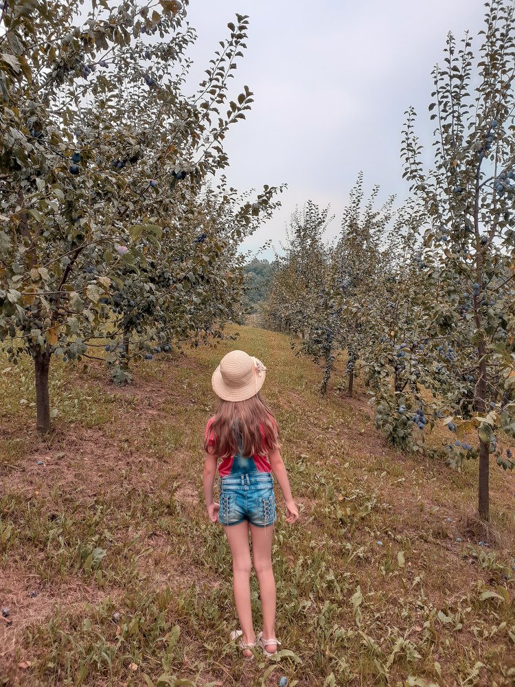 Girl and summer