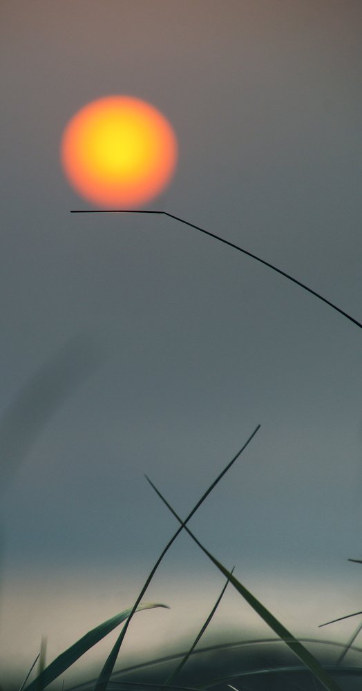 Photograph by Ирина Щеглова