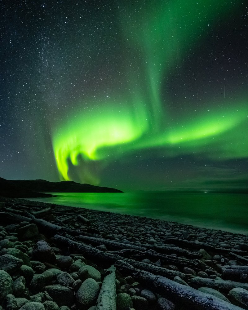 Photograph by Anna Frizen