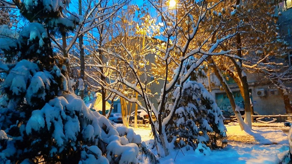 Photograph by Beybit Bertaev