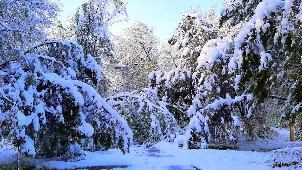 Photograph by Beybit Bertaev