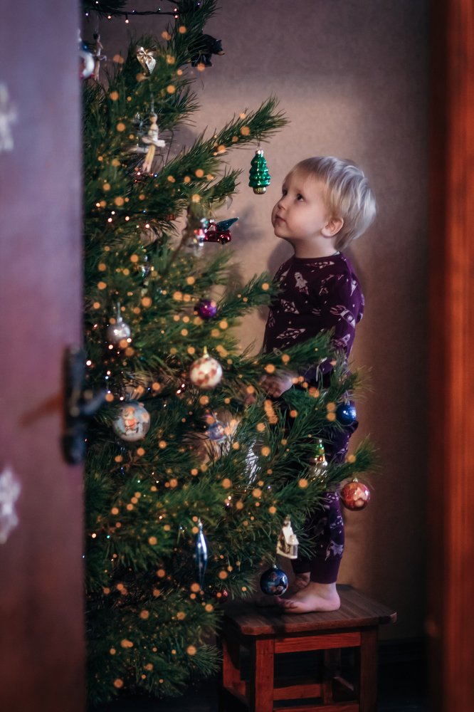 Photograph by Алина Таран