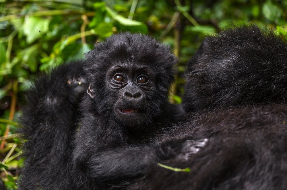 Photograph by Ricardo Núñez Montero