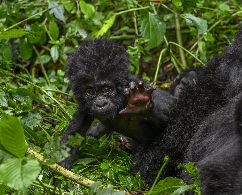 Photograph by Ricardo Núñez Montero