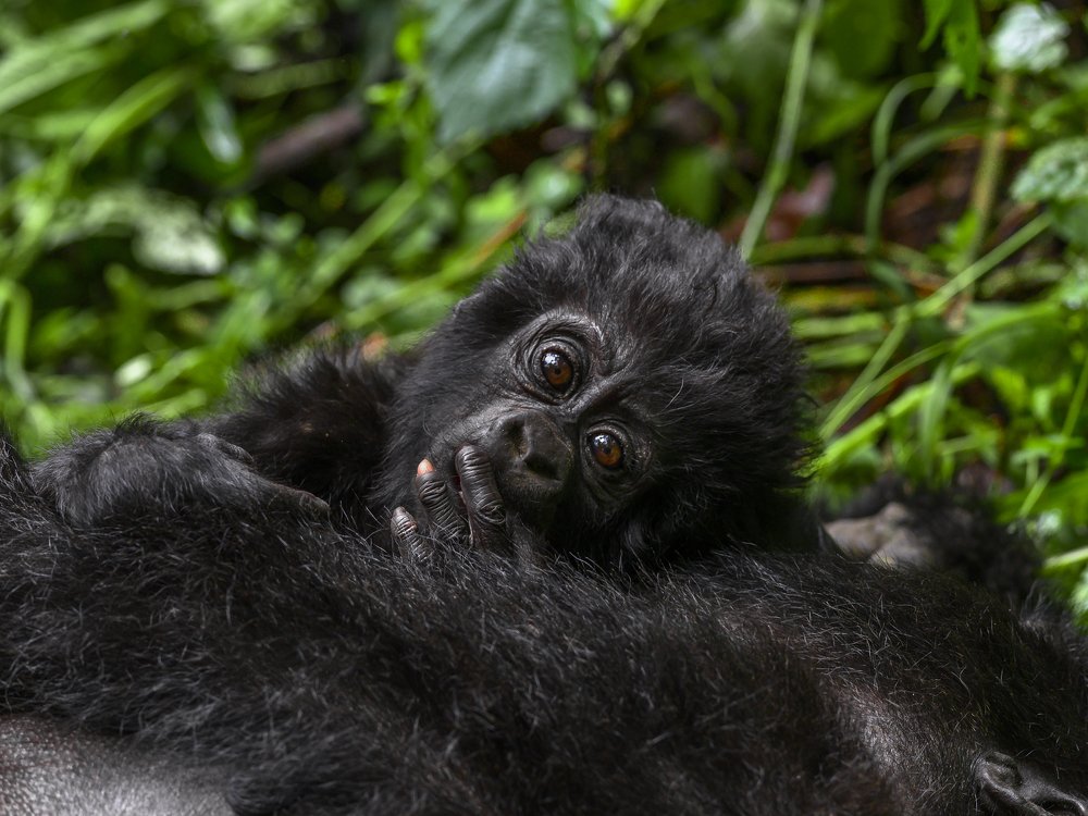 Photograph by Ricardo Núñez Montero