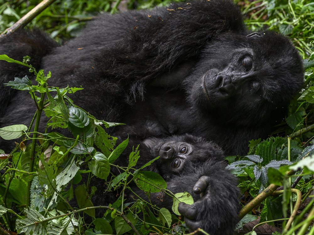 Photograph by Ricardo Núñez Montero