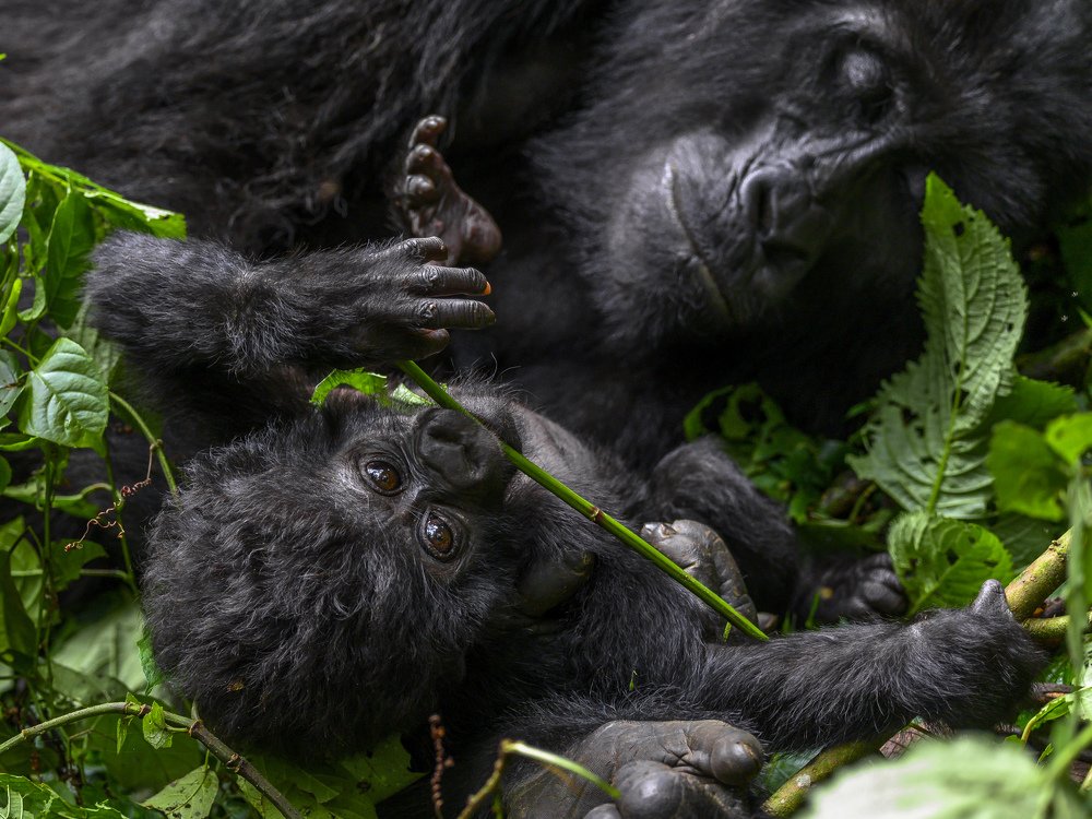 Photograph by Ricardo Núñez Montero