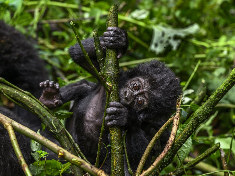 Photograph by Ricardo Núñez Montero