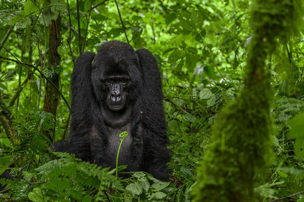 Photograph by Ricardo Núñez Montero