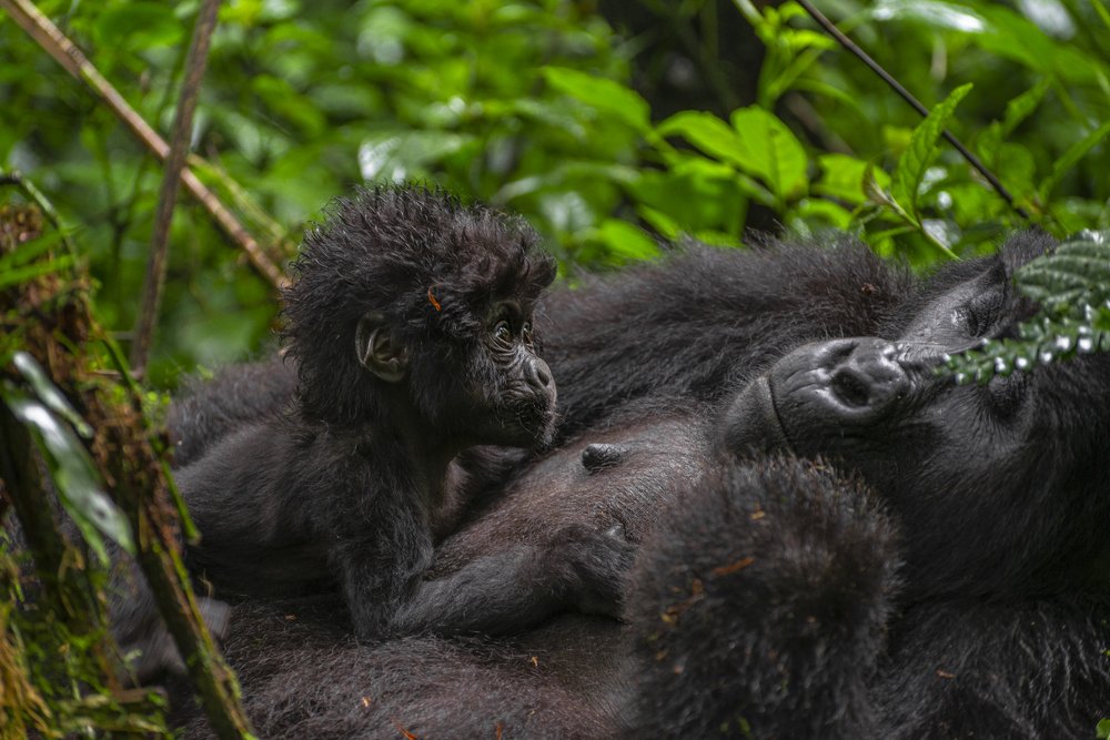 Photograph by Ricardo Núñez Montero