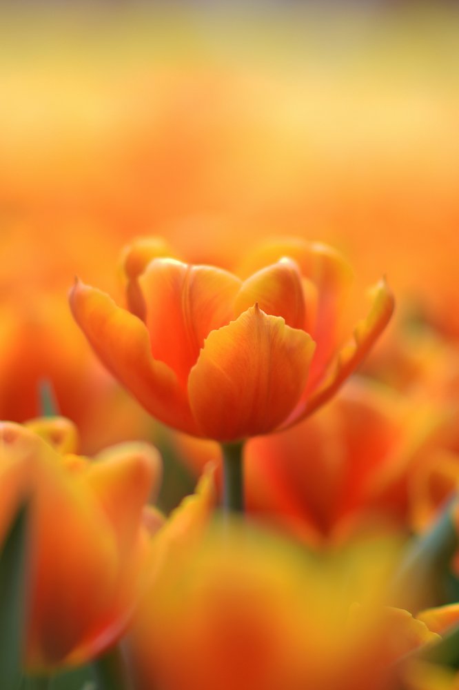 Photograph by Benny Chan