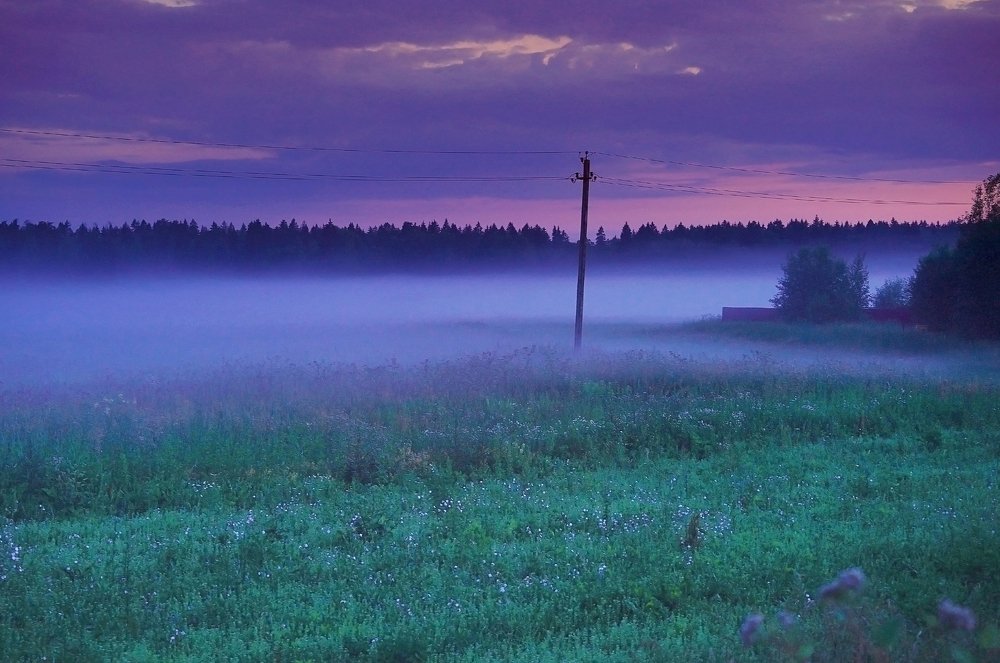 Сумеречный туман