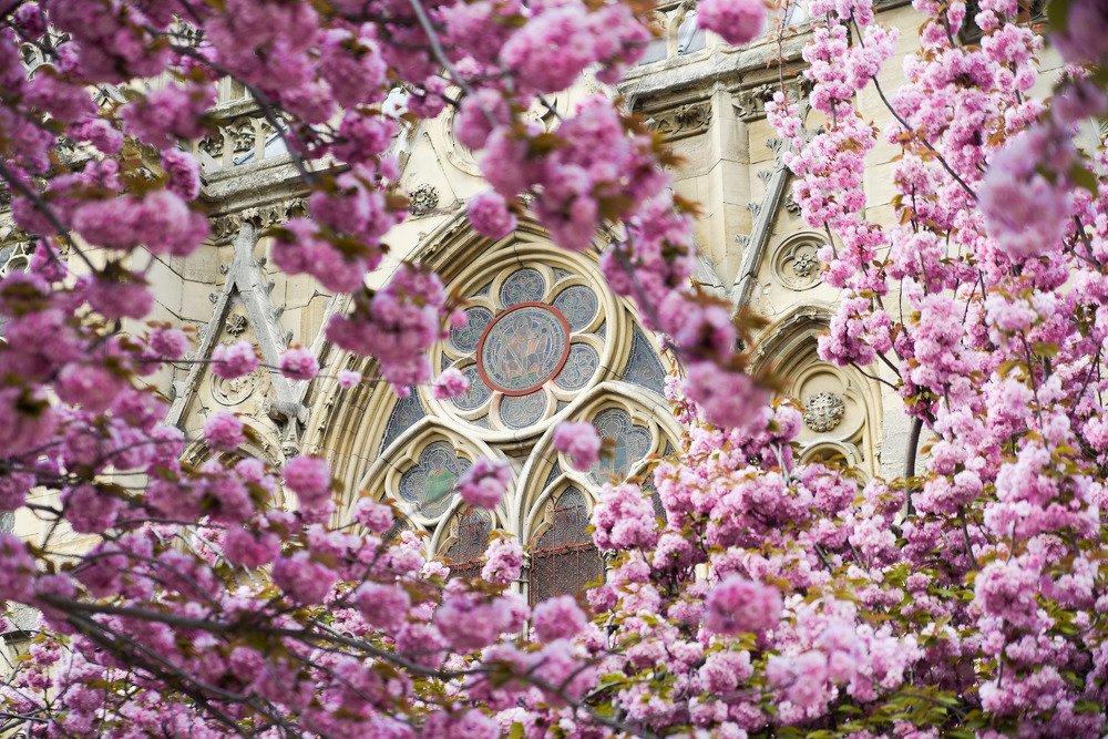 НотрДам весной