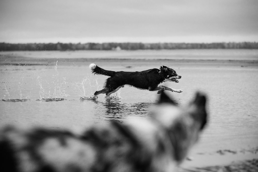 Photograph by Анастасия Пикей