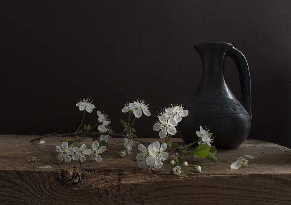 Cherry blossom branch.