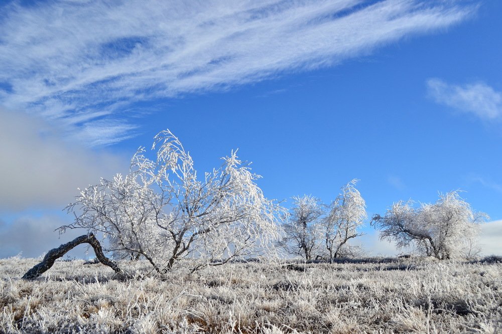 Photograph by Александра