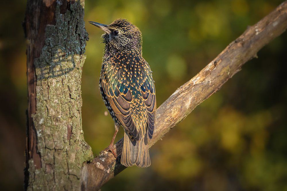 Photograph by Ярослав Дунька