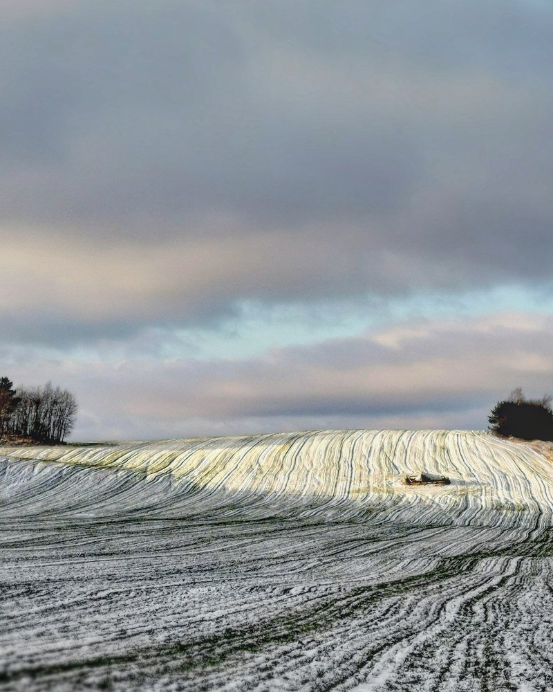 Фотография автора Павел Барский