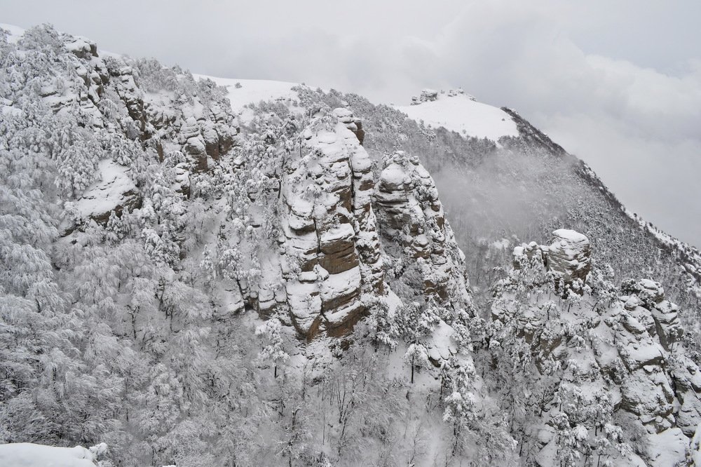 Photograph by Александра