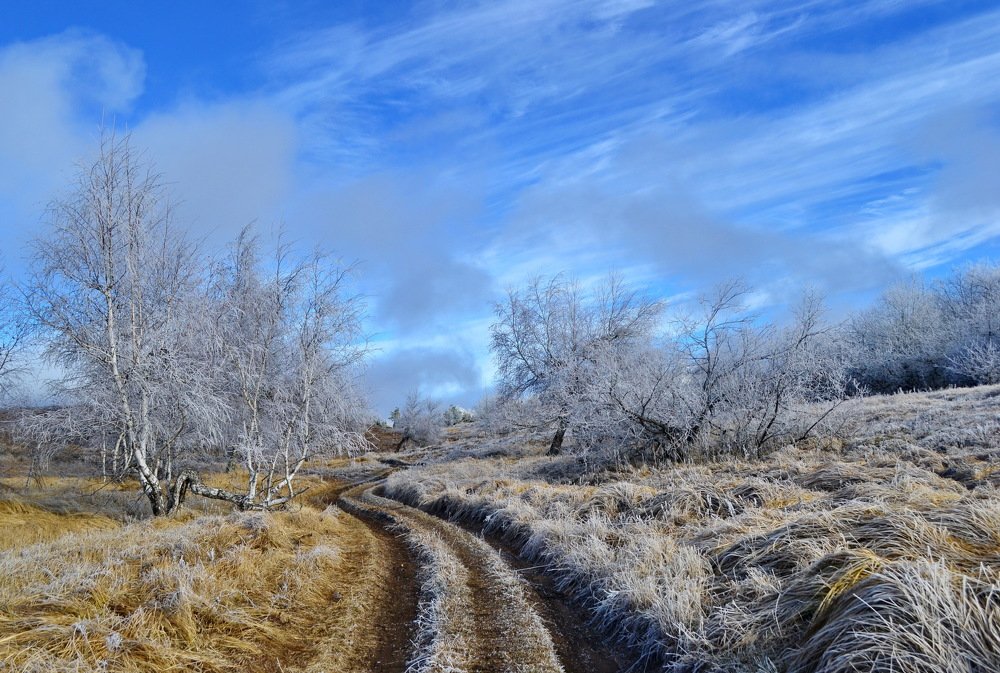 Photograph by Александра