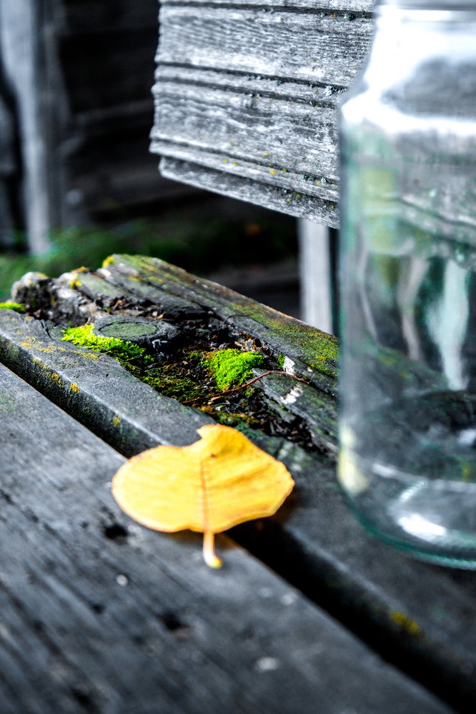 Photograph by Виктория Ларина