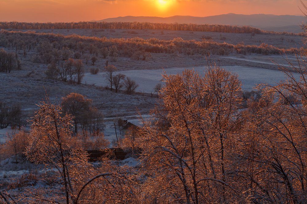 Photograph by Тамара Морозова