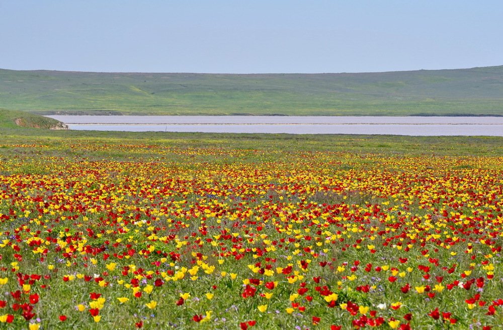 Photograph by Александра