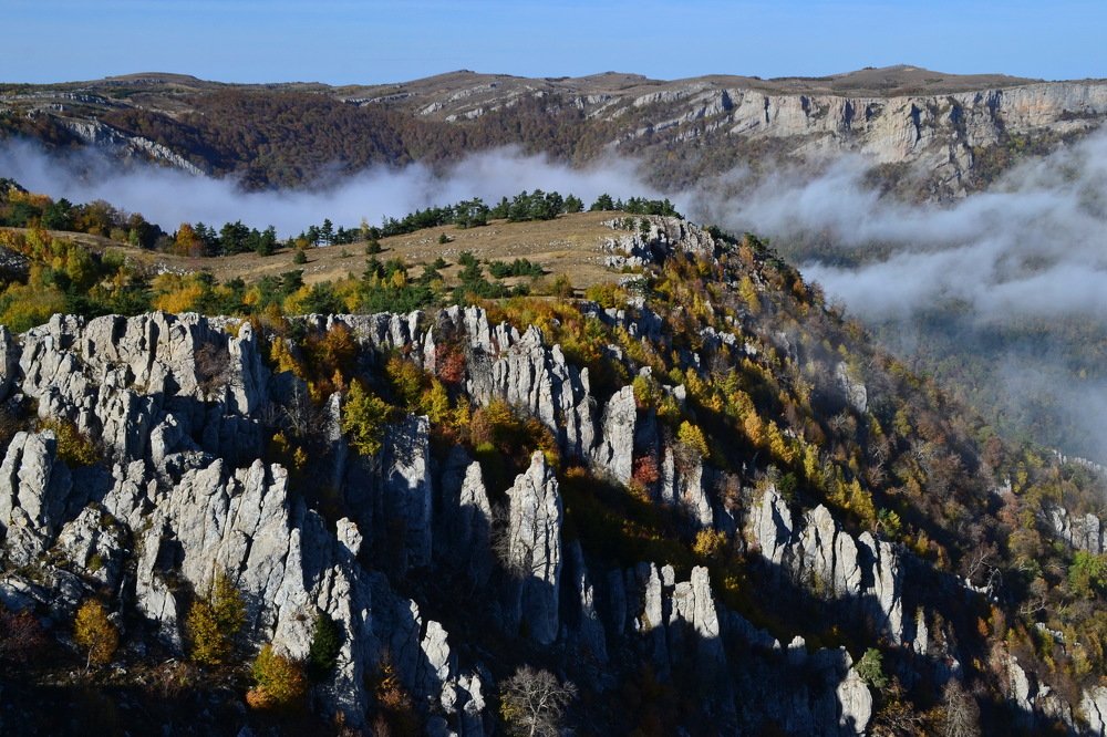 Photograph by Александра