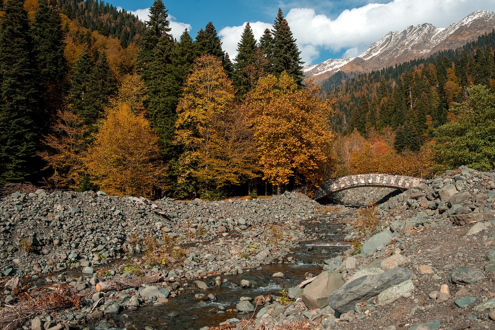 Photograph by Екатерина Гайдук