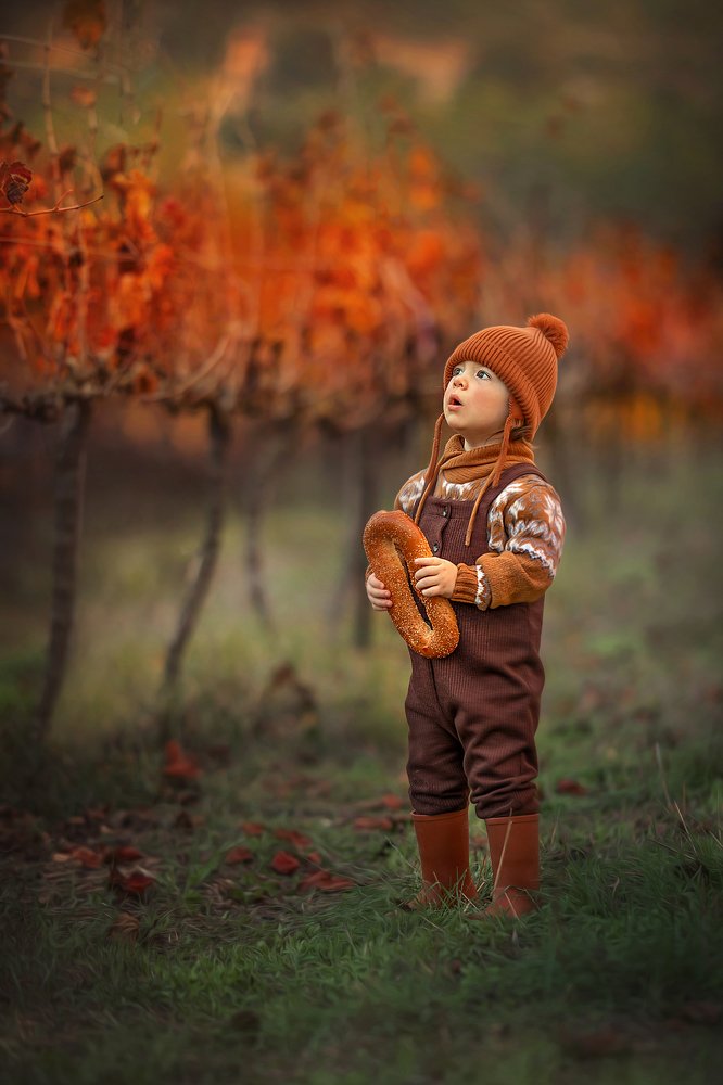 Photograph by yarden kaplan