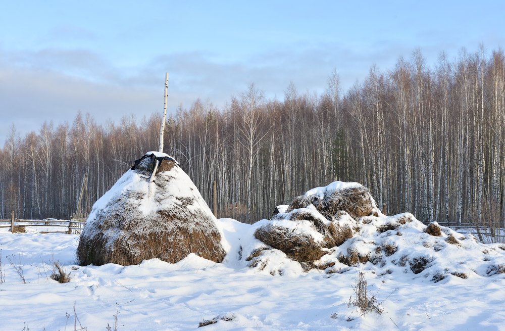 Фотография автора Ольга Мендоса