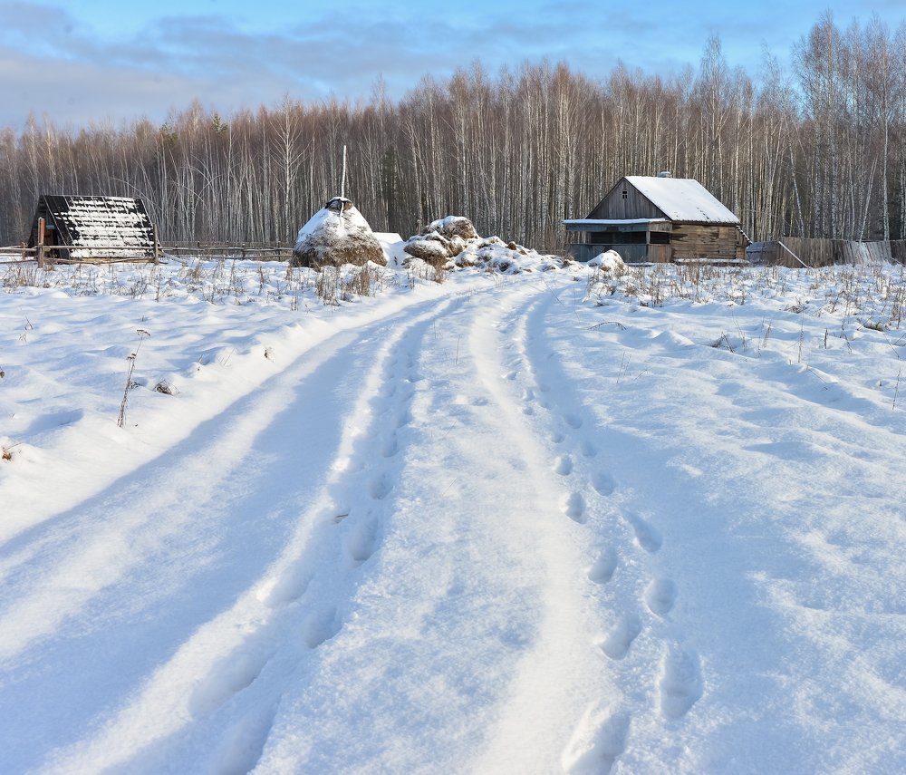 Photograph by Ольга Мендоса